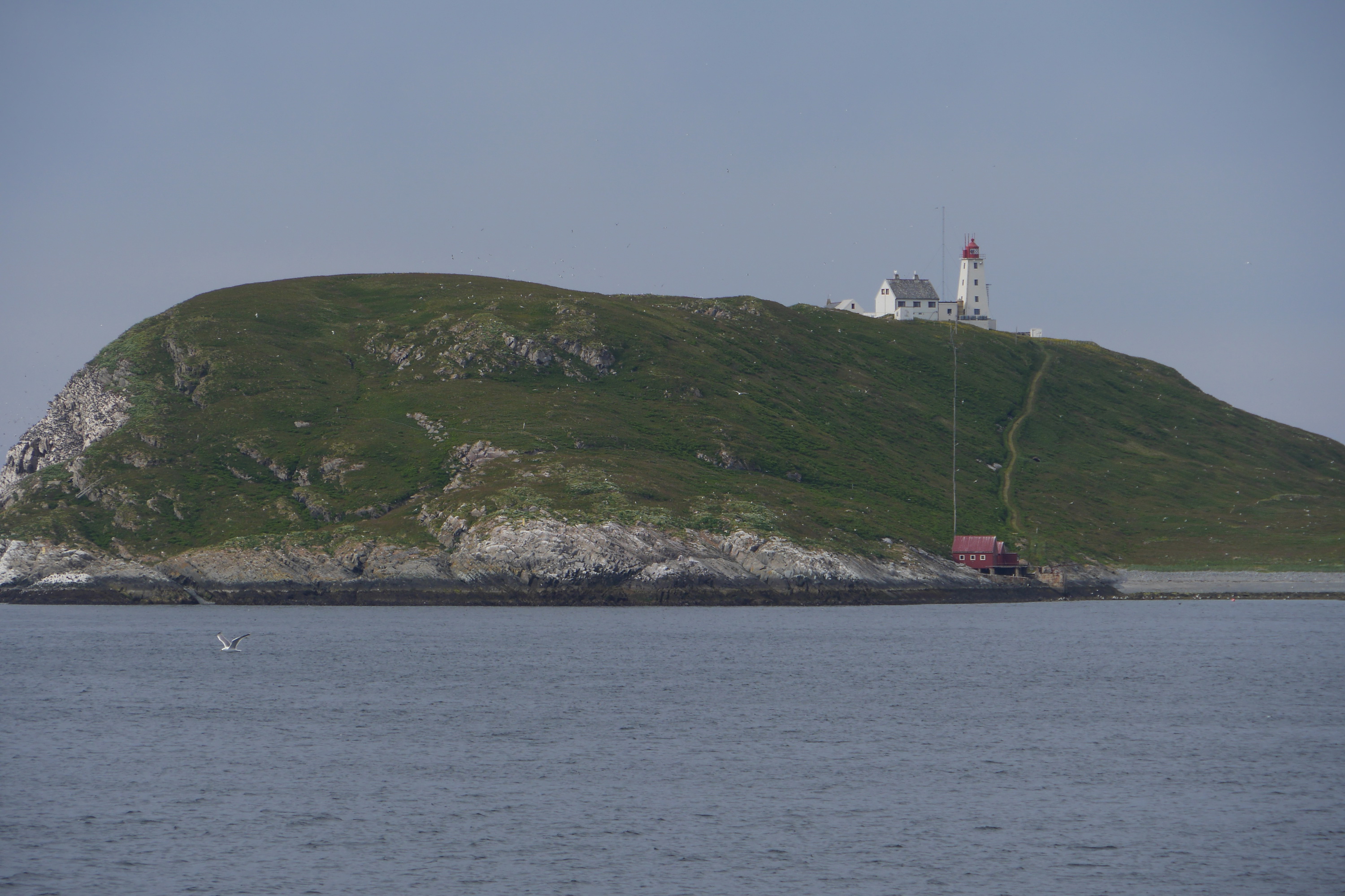Seereise mit der Hurtigruten MS Midnatsol